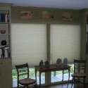 cellular-shades-green