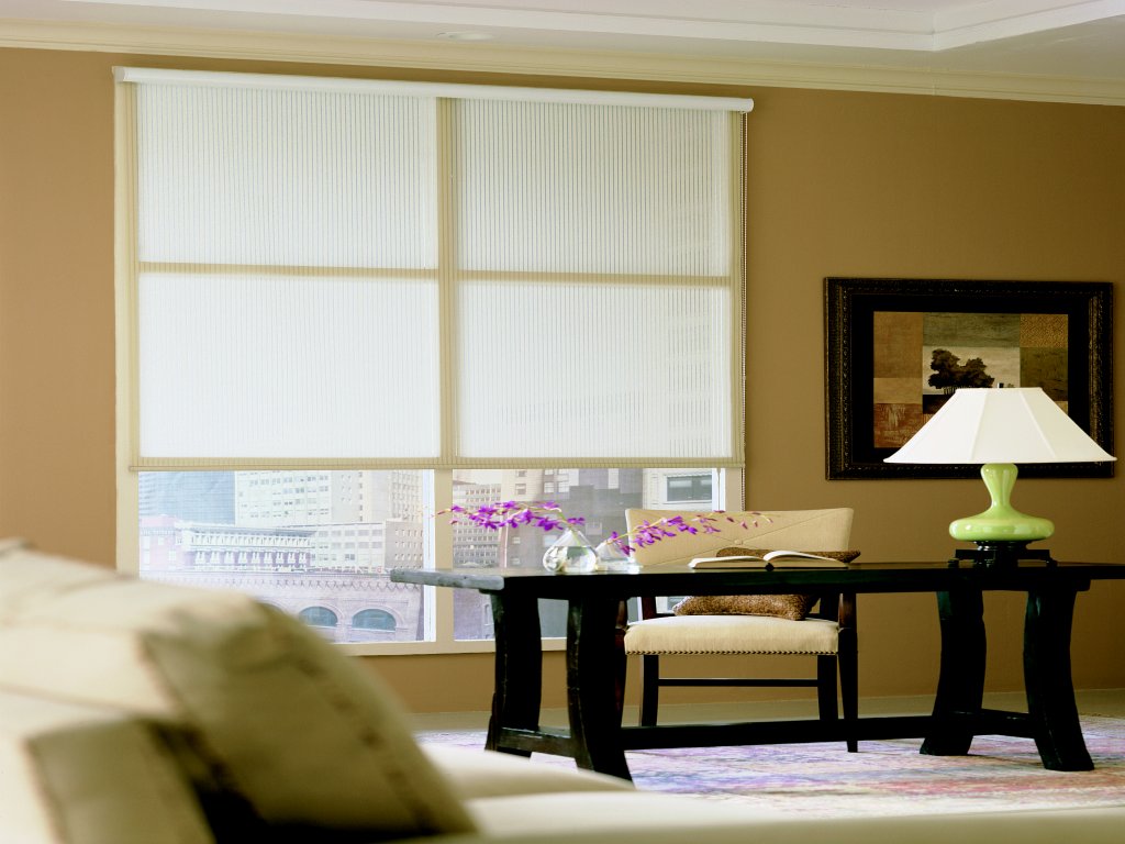 ROLLER BLINDS CONTEMPORARY LOOK - STYLISH BLINDS SHUTTERS AWNINGS