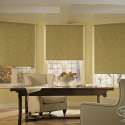 roller-shades-office